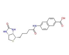 1217755-61-7，N-Biotinyl-6-amino-2-naphthoic Acid