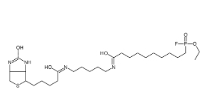 [CAS 259270-28-5]，F(xiàn)P-Biotin 