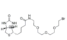 [CAS 1041766-91-9]，1-Biotinylamino-3,6,9-trioxaundecane-11-bromide 