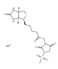  [CAS 119616-38-5]，Sulpho NHS biotin