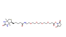 [CAS 459426-22-3]，15-Biotinlamino-4,7,10,13-Dioxanonanoic Acid N-Hydroxysuccinimidyl Ester 