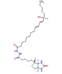 [CAS 1176496-97-1]，13(S)-HODE-biotin 