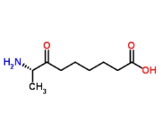 [CAS 177408-65-0]，KAPA hydrochloride (7-keto-8-Aminopelargomic Acid) 