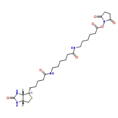  [CAS 89889-52-1]，Biotin-LC-LC-NHS，生物素-LC-LC-琥珀酰亞胺酯