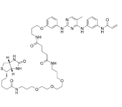 [CAS 1202758-21-1]，CNX-500 