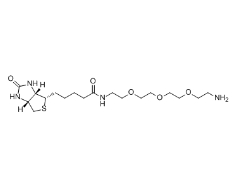  [CAS 359860-27-8]，Amine-PEG3-Biotin，(+)-生物素基 3,6,9-三氧雜十一碳二胺