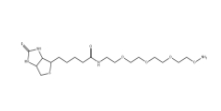 Biotin-PEG3-oxyamine、1786206-22-1、生物素-PEG3-氧胺鹽酸鹽