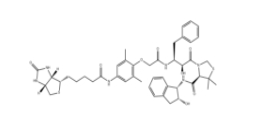 KNI-1293 Biotin、2071715-99-4、KNI-1293生物素