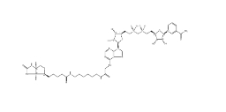 Biotin-NAD+、146385-37-7、生物素-NAD +