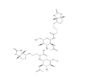 N-GlcNAc-生物素、1272755-69-7、2-乙酰氨基-2-脫氧-BETA-D-吡喃葡萄糖基氨基生物素