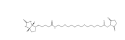 NHS-PEO4-Biotin、459426-22-3、活化生物素