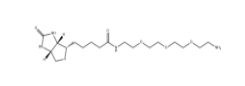 Amine-PEG3-Biotin	、359860-27-8、生物素-PEG3-胺