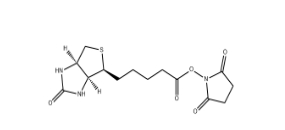 D-生物素 N-羥基琥珀酰亞胺酯、 35013-72-0、D-Biotin N-Succinimidyl Ester