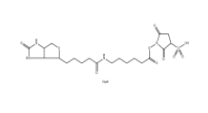 Sulfosuccinimidyl 6-(biotinamido)hexanoate 、127062-22-0、生物素酰氨基己酸-3-磺酸基-N-羥基琥珀酰亞胺酯