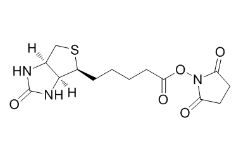 Biotin NHS；35013-72-0；生物素N-羥基琥珀酰亞胺酯 