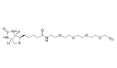 Biotin-PEG4-Alkyne	1458576-00-5  	生物素-四聚乙二醇-丙炔基