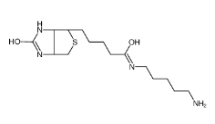 5-（Biotinamido）pentylamine	115416-38-1	       生物素-氨基