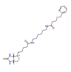 Biotin-HPDP,129179-83-5,雙硫鍵生物素交聯(lián)劑