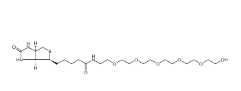 (+)-Biotin-PEG6-OH；906099-89-6