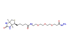 英文名稱：	Biotin-PEG3-propionic hydrazide 中文名稱：	生物素-PEG3-酰肼 MF：	C19H35N5O6S MW：	461.58 CAS：	1381861-94-4 描述	Biotin-PEG3-propionic hydrazide 是基于 PEG 結(jié)構(gòu)的 PROTAC linker,可以用來(lái)制備 PROTAC。 關(guān)于我們： 西安瑞禧生物科技有限公司是一家集研發(fā)，生產(chǎn)，銷售為一體的高科技企業(yè)，可提供合成磷脂、高分子聚乙二醇衍生物、嵌段共聚物、順磁/超順磁性納米顆粒、納米金及納米金棒、近紅外熒光染料、活性熒光染料、熒光標(biāo)記的葡聚糖BSA和鏈霉親和素、蛋白交聯(lián)劑、小分子PEG衍生物、點(diǎn)擊化學(xué)產(chǎn)品、樹枝狀聚合物、環(huán)糊精衍生物、大環(huán)配體類、熒光量子點(diǎn)、透明質(zhì)酸衍生物、石墨烯或氧化石墨烯、碳納米管、富勒烯等等，可以滿足不同客戶的定制需求。 描述： 規(guī)格：1mg 5mg 10mg 純度：99% 狀態(tài)：固體/溶液 用途：科研！ 溫馨提示：僅用于科研，不能用于人體實(shí)驗(yàn)！ 廠家：西安瑞禧生物科技有限公司 推薦產(chǎn)品： 1253286-56-4 122567-66-2 122266-55-1 122266-55-1 1221498-88-9 1217850-77-5 1217605-72-5 1217481-41-8 1217455-99-6 120550-35-8 120550-35-8 12:0 生物素-18:1 PE cas:2260669-91-6 11-巰基十一酸-(8-生物素酰胺基-3，6-二氧辛基)酰胺(MBDA) 119616-38-5,Sulfo-NHS-Biotin,NHS-SS-Biotin,142439-