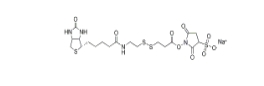 Sulfo-NHS-SS-biotin，Sulfo-NHS-SS-Biotin sodium、325143-98-4、生物素-二硫鍵-磺酸-琥珀酰亞胺酯