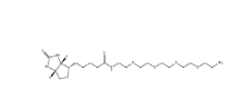 Biotin-PEG6-NH2， 663171-32-2，小分子PEG