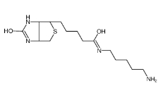 Biotin-NH2/生物素-氨基；115416-38-1 