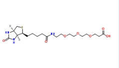 Biotin-PEG3-COOH/CAS; 252881-76-8；生物素三聚乙二醇羧基