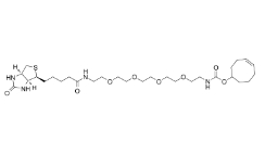 Biotin-PEG4-TCO/cas: 2183440-30-2/生物素四聚乙二醇反式環(huán)辛烯