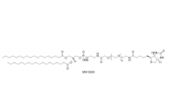 磷脂PEG生物素；385437-57-0；DSPE-PEG-Biotin