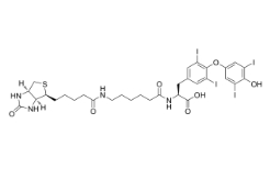 Biotin-hexanamide-(L-Thyroxine)；2278192-78-0；生物素己酰胺-（L-甲狀腺素）