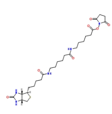 Biotin-AC5-AC5-OSU； 89889-52-1；生物素氨基己酸氨基己酸琥珀酰亞胺酯	