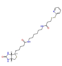 Biotin HPDP；129179-83-5；生物素-二硫吡啶