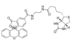 生物素（5-熒光素）綴合物 ； 957494-27-8；BIOTIN (5-FLUORESCEIN) CONJUGATE