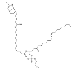 CAS號:799812-67-2；1-油酰-2-(12-生物素酰(氨基十二烷基))-sn-甘油-3-磷酸乙醇胺