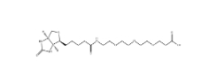 Biotin-PEG3-COOH，252881-76-8，(+)-生物素-PEG 3 -丙酸