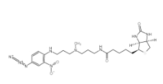 Photobiotin，96087-37-5，光生物素