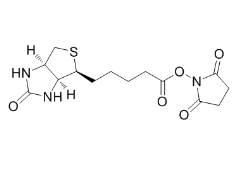 NHS Biotin；35013-72-0；(+)生物素-N-琥珀酰亞胺基酯