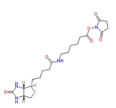 NHS LC Biotin，72040-63-2，生物素化-epsilon-氨基己酸-N-羥基丁二酰亞胺活化酯