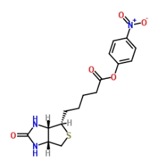 (+)-Biotin-ONP ((+)-Biotin 4-nitrophenyl ester)；33755-53-2；(+)-生物素4-硝基苯酯