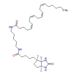 CAS號： 1217901-28-4；Arachidonic Acid-biotinamide