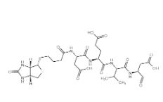 Biotin-Asp-Glu-Val-Asp-CHO；178603-73-1；生物素-天冬氨酰-谷氨酰-纈氨酰-天冬氨醛