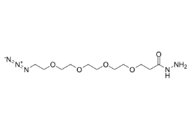 cas:2170240-96-5，Azido-PEG4-hydrazide HCl Salt，鹽酸疊氮-四聚乙二醇-肼鹽