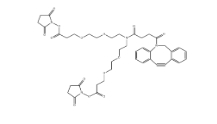 CAS號(hào)：2128735-29-3，N-DBCO-N-bis(PEG2-C2-NHS ester)，N-Dbco-N-bis(peg2-nhs ester)，N-二苯基環(huán)辛炔-N-bis(二聚乙二醇-C2-琥珀酰亞胺酯)