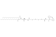 cas:2112738-14-2，DSPE-PEG4-DBCO，磷脂-四聚乙二醇-二苯并環(huán)辛炔