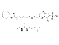 CAS：2353409-48-8，TCO-PEG2-Sulfo-NHS ester，反式環(huán)辛烯-二聚乙二醇-Sulfo-羥基琥珀酰亞胺酯