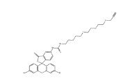 CAS號：1927884-65-8，5-FITC-四聚乙二醇-炔基，5-FITC-PEG4-alkyne，