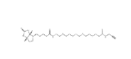 Biotin-PEG4-amide-Alkyne，CAS號(hào)：1006592-45-5