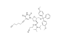 clk-a03-1g c8-alkyne-du-cep, 1 g pack，CAS號：938186-76-6