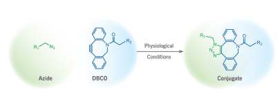 DBCO-NHCO-PEG2-CH2COOH ， 二苯基環(huán)辛炔-芴甲氧羰基-三聚乙二醇-甲酸基團